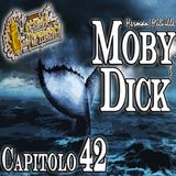 Audiolibro Moby Dick – Capitolo 042 – Il mistero della pelle bianca – Herman Melville