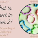 Episode 7-RESET TO PURSUE_ Breaking bad Patterns