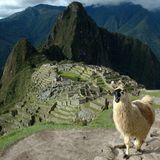Machu Picchu - İnkaların Kayıp Şehri
