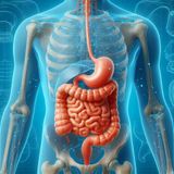 Serie speciale: l'intestino, prima puntata.