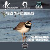 NUESTRO OXIGENO Aves migratorias, puentes alados entre territorios - Blga. Diana Lucia Eusse