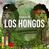 Capítulo 35: Los hongos