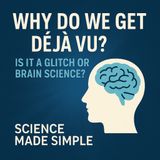 Why Do We Get Déjà Vu? | Brain Glitch or Memory Science