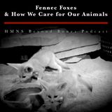 Fennec Foxes & How We Care for Our Animals