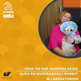 Prof. dr hab. Marzena Dzida | Jajka po warszawsku i smerfy w laboratorium