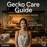 Gecko Care Guide - Feeding Your Gecko Right: Nutrition That Prevents Disease
