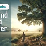 Grounding and Energy Balancing Mindfulness Meditation  Mindful Movement - The Mindful Movement