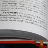 Matteo Santipolo: «L'esperanto è una lingua per il dialogo tra i popoli»