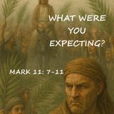 What Were You Expecting?