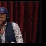Joe Rogan Experience _2373 - Dave Landau