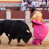 Al Alimón: Borja Jiménez demuestra en Las Ventas sus ganas de "comerse el mundo" y corta una oreja