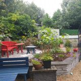 Loving our flowers E644