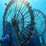 Da pappagalli chiacchieroni al mare che illumina ieri, oggi e un pizzico di futuro!