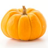 Zucca: centrifugati, ricette e usi inattesi per depurare e rinforzare l’organismo