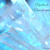 ✨Per Conoscere Cristal✨