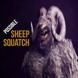 What is a Sheep-Squatch?