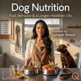 Dog Nutrition - Building the Perfect Bowl From Puppyhood to Senior Years