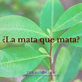 ¿La mata que mata?