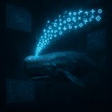 What if whales aren’t just talking… but debating us?