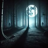 Historia de Terror La Sombra de Raúl