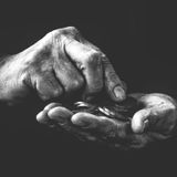 Crónica Semanal del mercado | Semana del 10 al 14 de noviembre de 2025