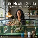 Turtle Health Guide - Crystal Clear: Mastering Water Quality to Keep Your Turtle Thriving