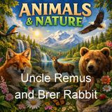 Uncle Remus and Brer Rabbit - Joel Chandler Harris
