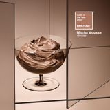 Che colore è il Mocha Mousse