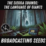 The Sierra Sounds: The Language of Giants