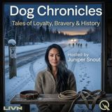 Dog Chronicles - Discover the untold stories with Juniper Snout