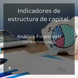 Indicadores de estructura de capital
