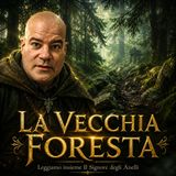 Il Signore degli anelli 6. La Vecchia Foresta