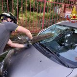 Grosso albero si sradica e abbatte palo del telefono che si conficca sul parabrezza di un’auto
