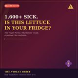 The Real Scope of the Lettuce Outbreak: What You Need to Know |The Violet Brief