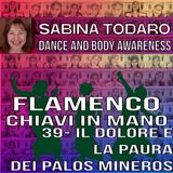 #39 Il dolore e la paura dei palos mineros - Flamenco Chiavi in Mano