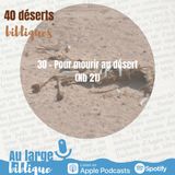 #47 Désert 30 - Pour mourir au désert (Nb 21)