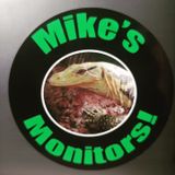 Episode 3: Mike Stefani of Mike's Monitors