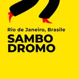 Sua Maestà il Sambodromo. Rio de Janeiro, Brasile