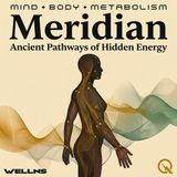 Meridian - One Body, Many Maps: Energy Pathways Across World Traditions
