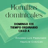 Homilía Domingo XIX Tiempo Ordinario Ciclo A
