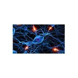 The Matt Duffin Show - Seizures, Jen's a STAR & Your Thoughts