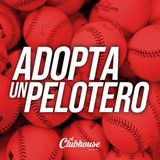 ¡En Tiempos de Crisis de Beisbol - Adopta un Pelotero!