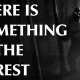 There is Something in the Forest(MP3_160K)