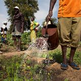 Maraîchage, démarches administratives et vie urbaine (Le Niger sur Kalangou)