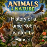 History of a Tame Robin written by Himself - Anonymous