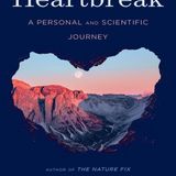 Heartbreak -  A personal and scientific journey