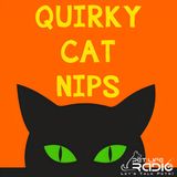 Quirky Cat Nips - Episode 59 Quirky Cat Goes Splat! Chapter 08