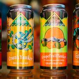 Jewels Two Point Oh / Episode 49 / Erin Moylhan / Eddyline Brewing