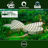 NUESTRO OXÍGENO Jardín botánico del Quindío Dr. Alberto Gómez Mejía