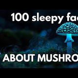 100 Sleepy Facts About Fungi _ Fall Asleep to Science